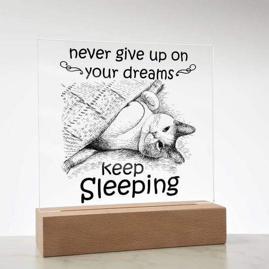 Never Give Up On Your Dreams Acrylic Plaque - JENACDirect