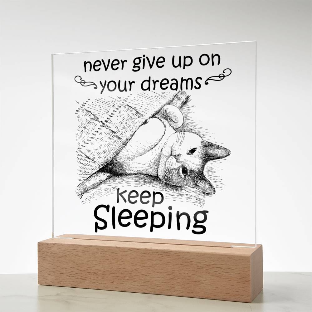 Never Give Up On Your Dreams Acrylic Plaque - JENACDirect