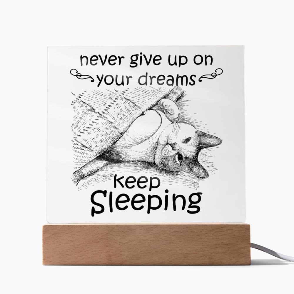 Never Give Up On Your Dreams Acrylic Plaque - JENACDirect