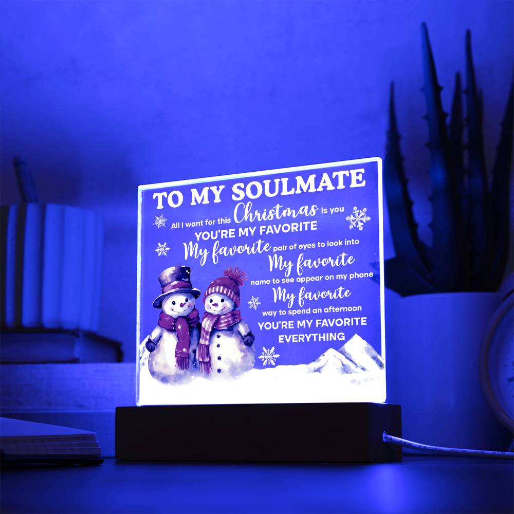 To My Soulmate| Favourite Everything | Acrylic Plaque