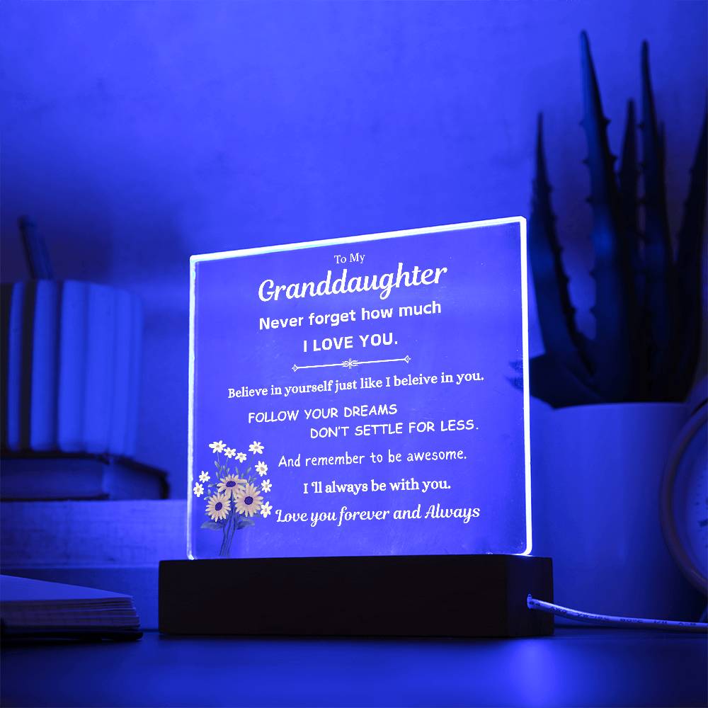 To My Granddaughter | Follow Your Dreams | Gift From Grandparent | Acrylic Plaque