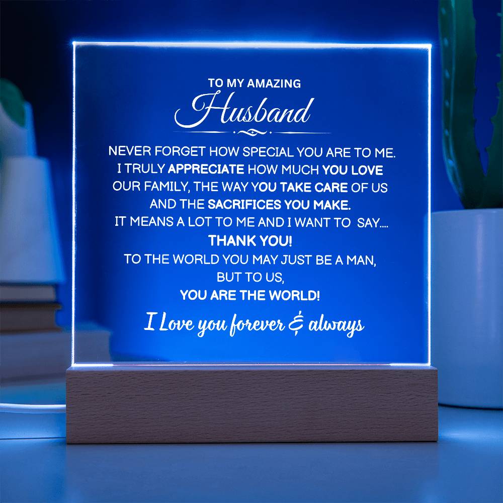 To My Husband | I Appreciate You | Acrylic Plaque