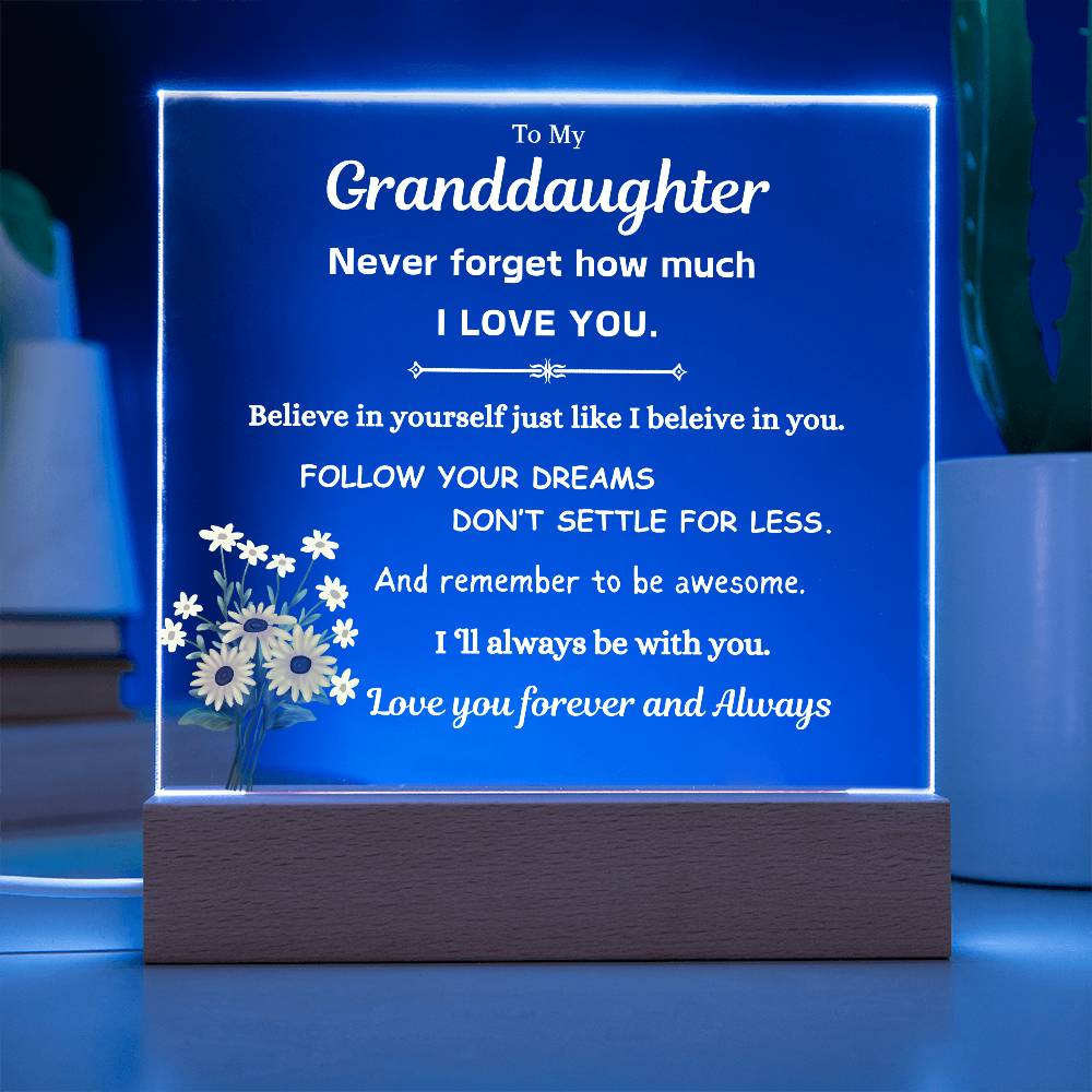 To My Granddaughter | Follow Your Dreams | Gift From Grandparent | Acrylic Plaque