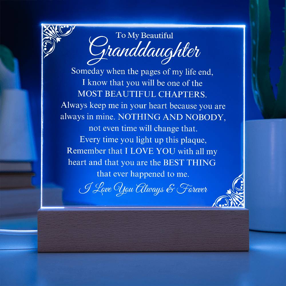 To My Granddaughter | Beautiful Chapters | Acrylic Plaque