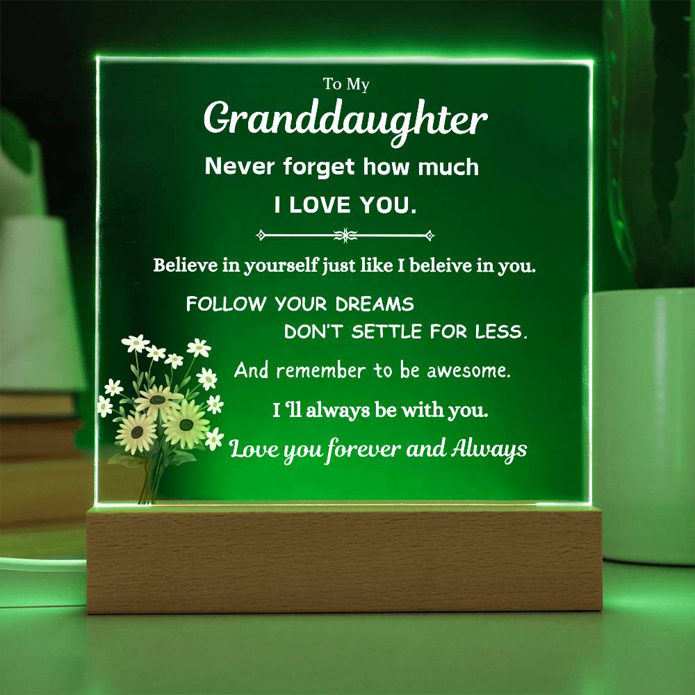 To My Granddaughter | Follow Your Dreams | Gift From Grandparent | Acrylic Plaque