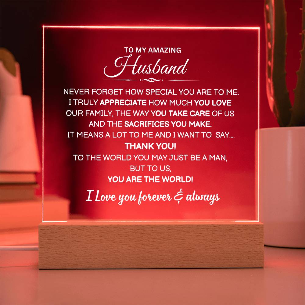 To My Husband | I Appreciate You | Acrylic Plaque