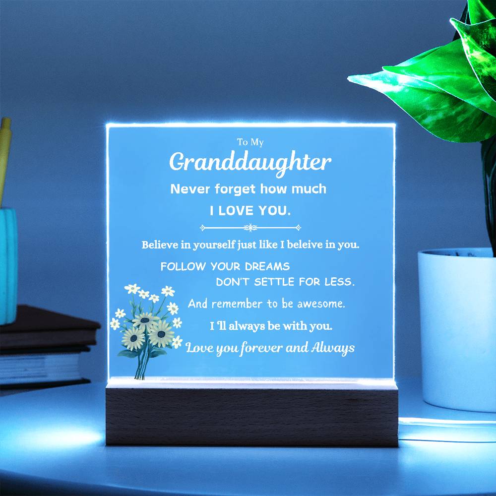 To My Granddaughter | Follow Your Dreams | Gift From Grandparent | Acrylic Plaque