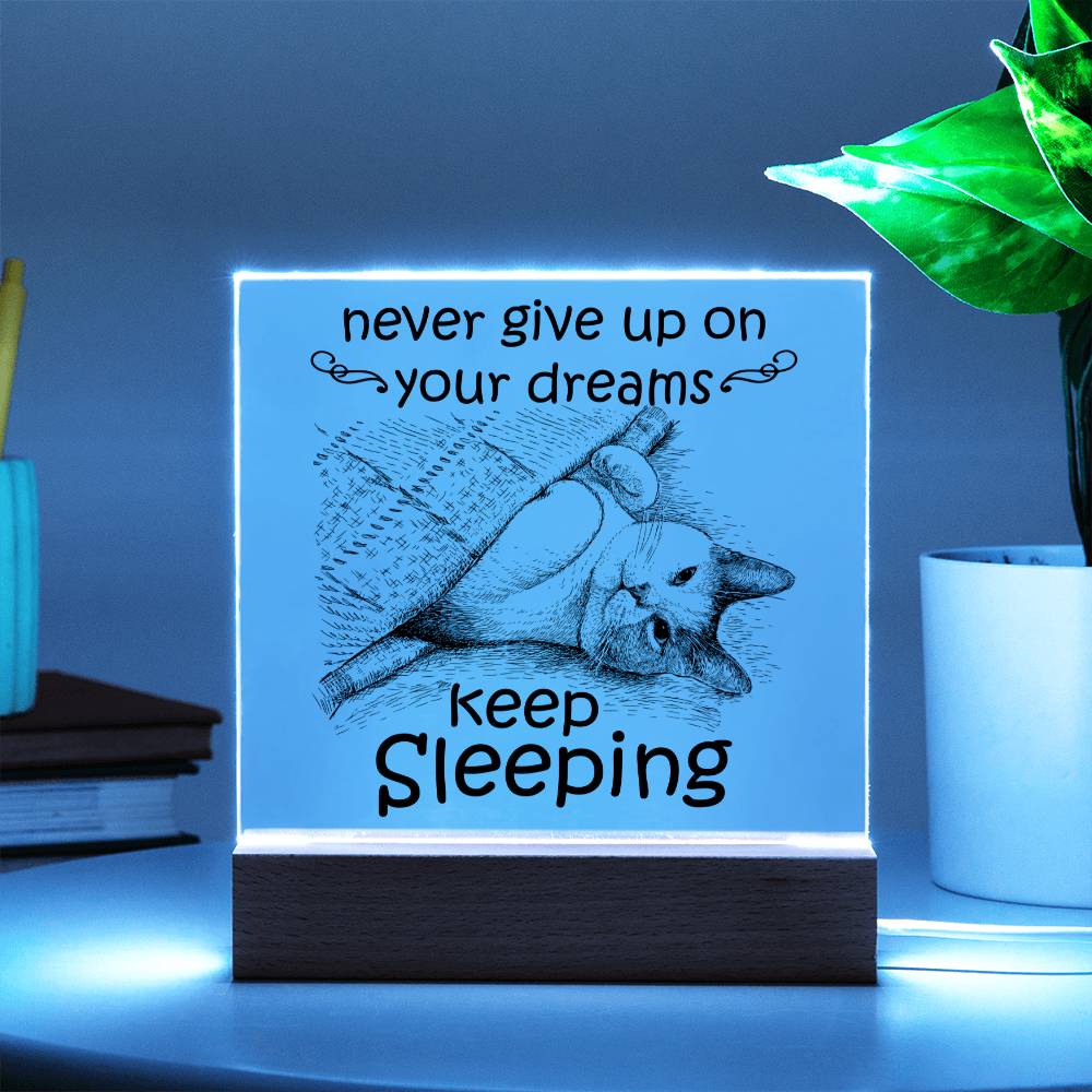 Never Give Up On Your Dreams Acrylic Plaque - JENACDirect