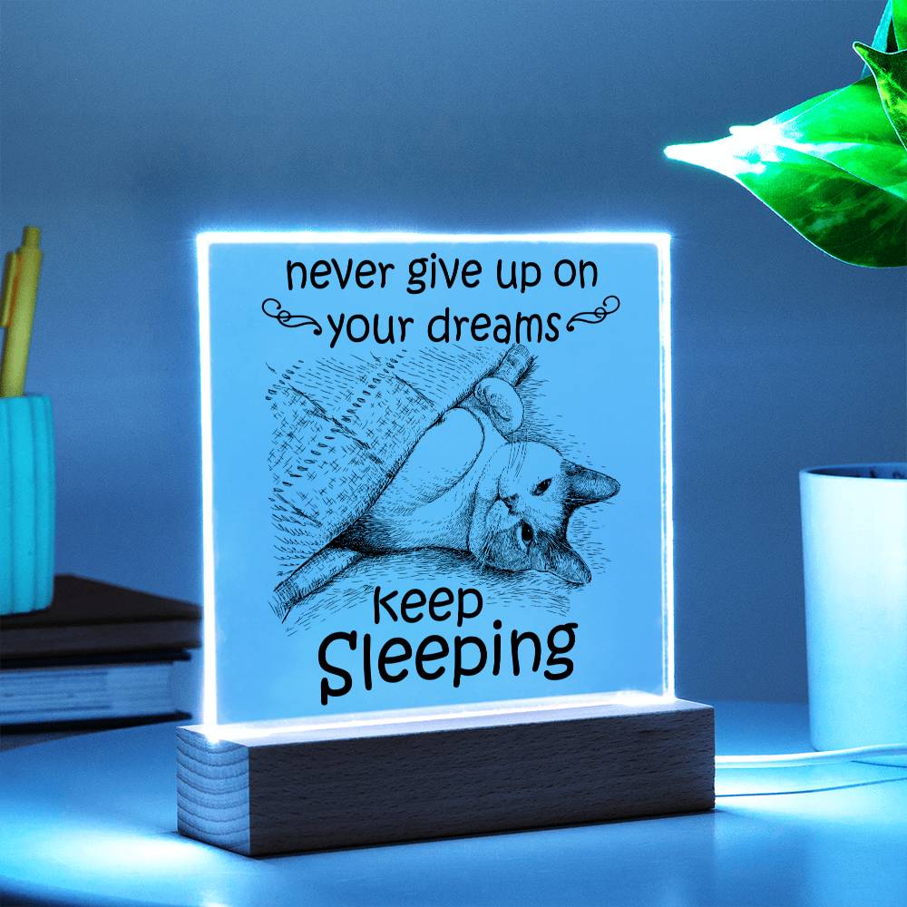 Never Give Up On Your Dreams Acrylic Plaque - JENACDirect