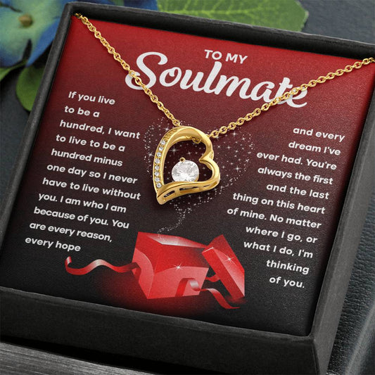 To My Soulmate | Without You | Forever Love Necklace