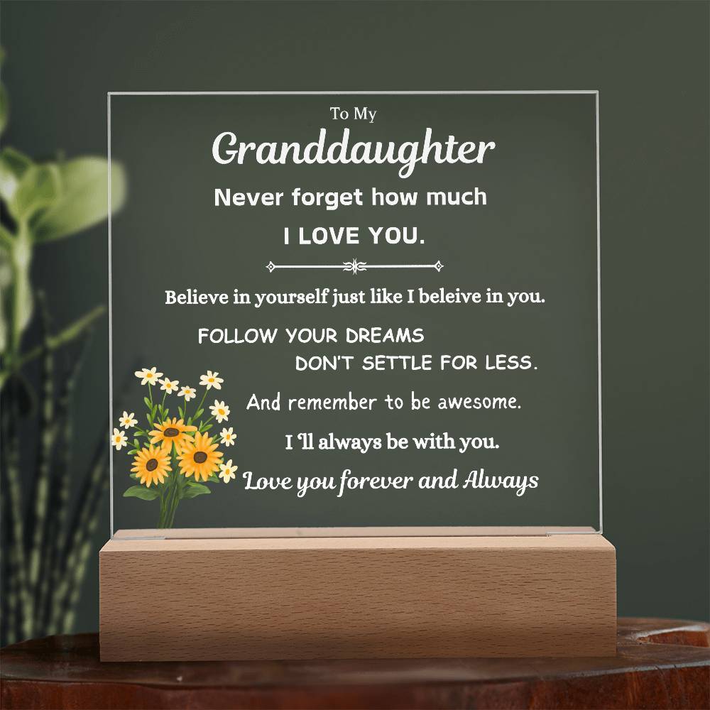 To My Granddaughter | Follow Your Dreams | Gift From Grandparent | Acrylic Plaque