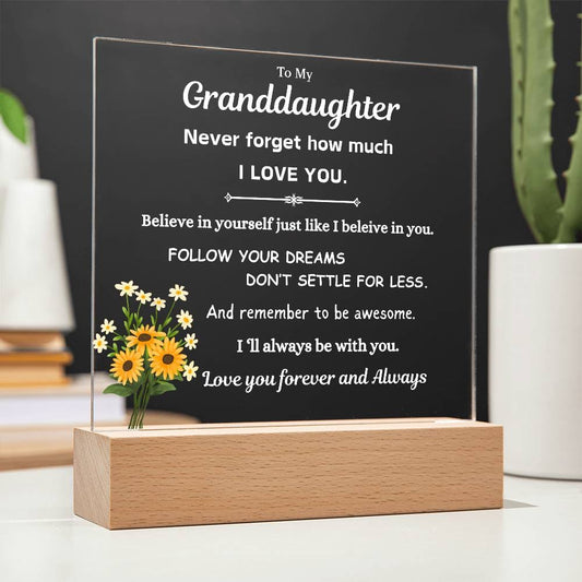 To My Granddaughter | Follow Your Dreams | Gift From Grandparent | Acrylic Plaque