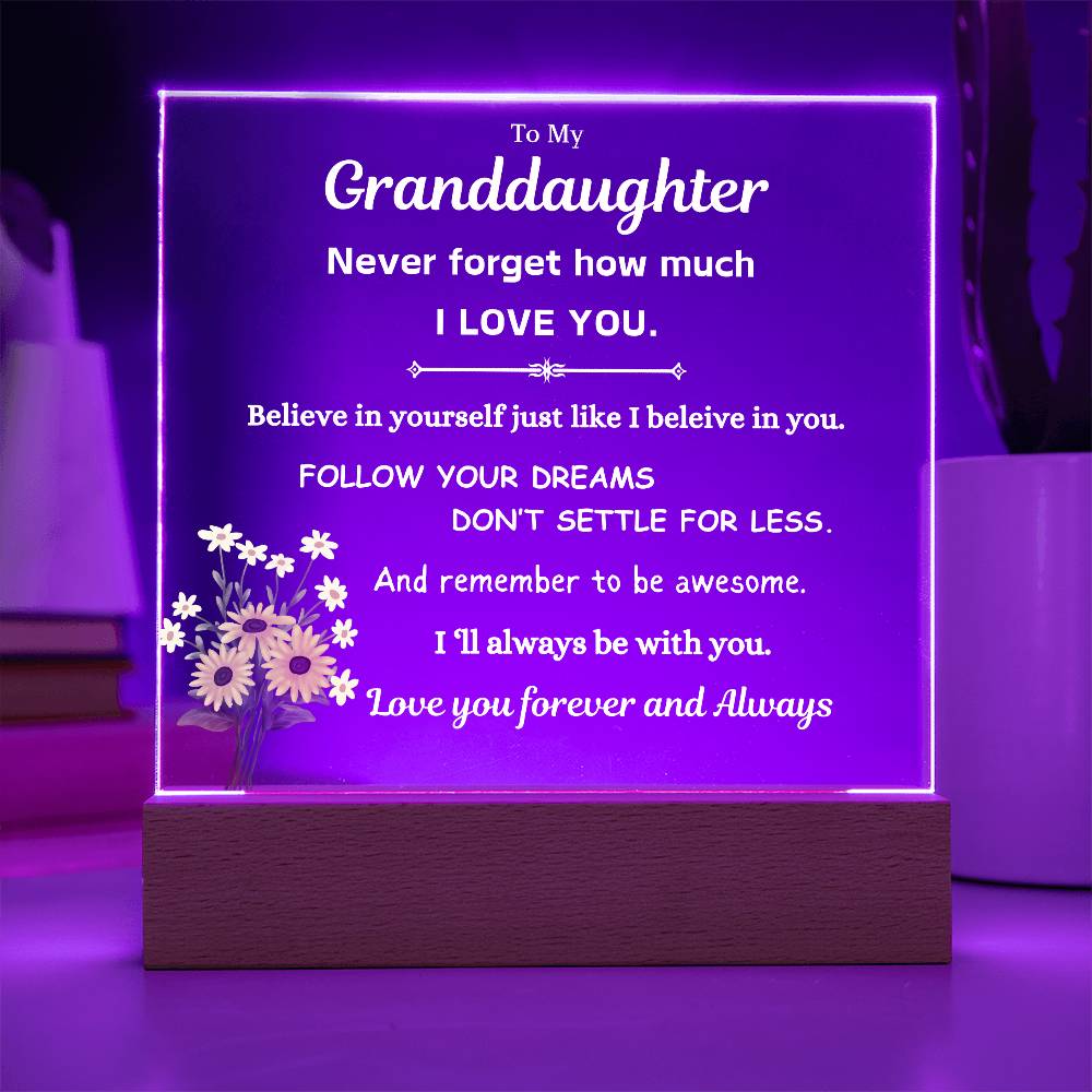 To My Granddaughter | Follow Your Dreams | Gift From Grandparent | Acrylic Plaque