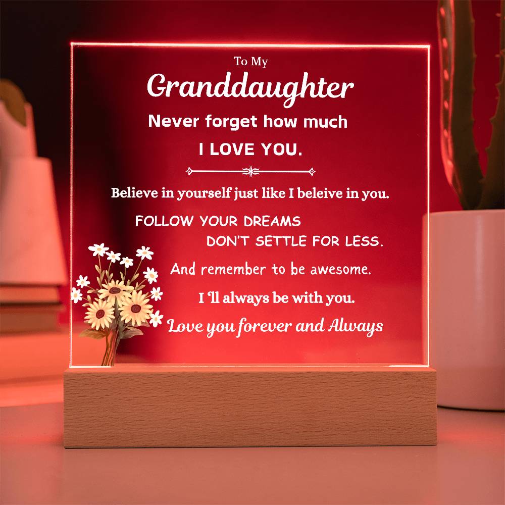 To My Granddaughter | Follow Your Dreams | Gift From Grandparent | Acrylic Plaque