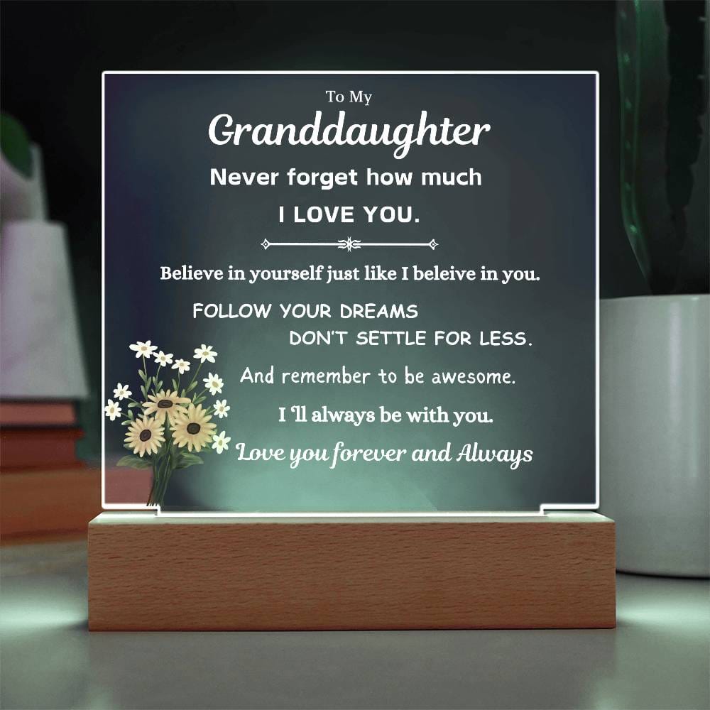 To My Granddaughter | Follow Your Dreams | Gift From Grandparent | Acrylic Plaque