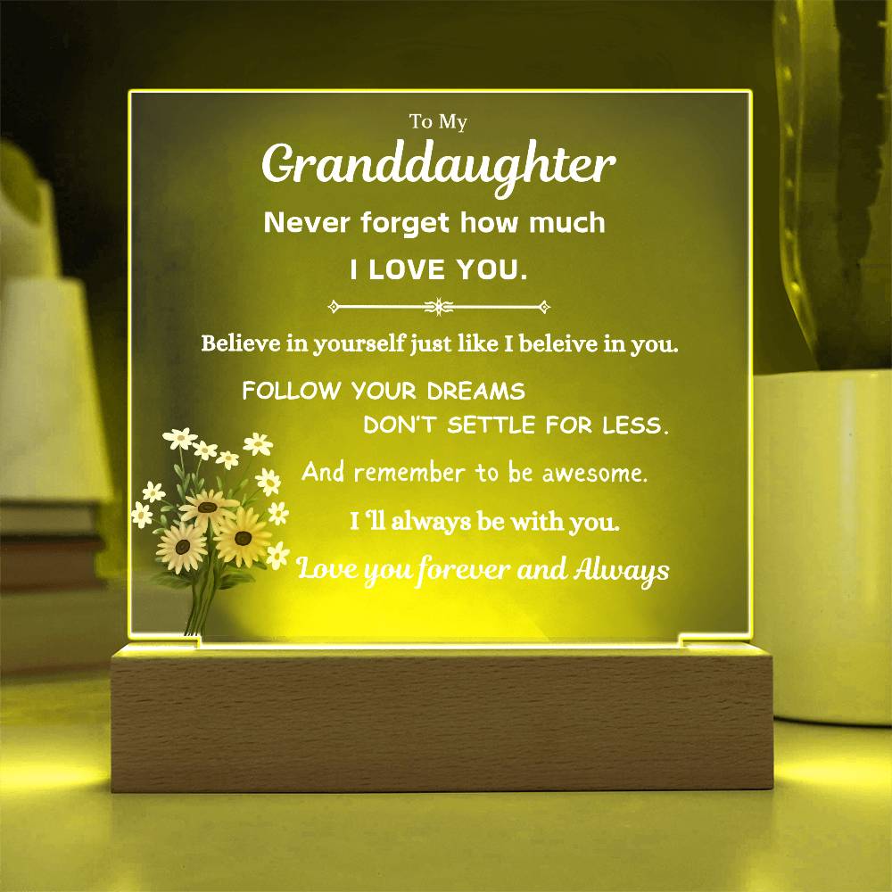 To My Granddaughter | Follow Your Dreams | Gift From Grandparent | Acrylic Plaque